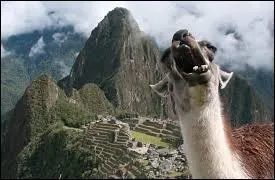 Photographier le Machu Picchu en ayant failli oublier votre compagnon laineux, ce n'est pas sympa... Quelle est la capitale de ce pays ?