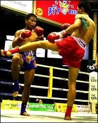 Ces combattants pratiquent un art ancestral et véritable sport national dans leur pays. La ville à deviner ne peut être que :