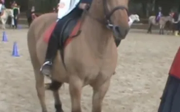 Quiz Galop 2