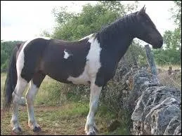 Que veut dire "dégarroter" ?