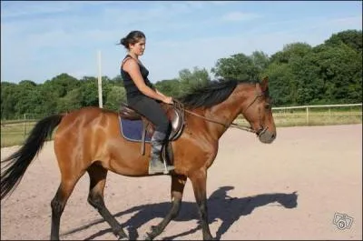 Quel produits faut-il utiliser pour entretenir le harnachement ?