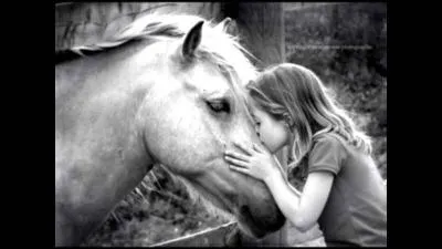 Vrai ou faux ? Coche les bonnes réponses.