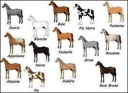 Quelles robes appartiennent à la famille des "autres" ?