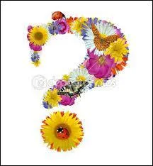 A quelle famille appartiennent les dix fleurs que nous venons de voir ?