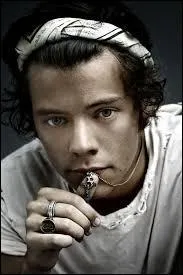 De quel groupe faisait-il partie avant les One Direction ?