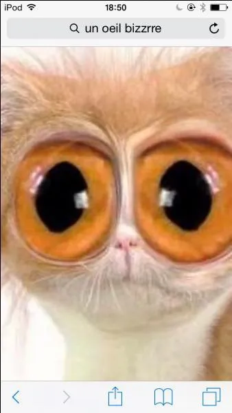 Qui confond certaines couleurs ?