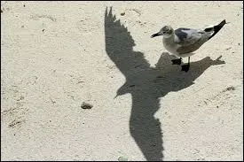 Qu'est-ce qui doit disparaître ?