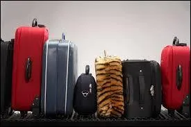 On est à l'aube de faire :