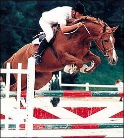 Le record du monde en saut d'obstacle est :