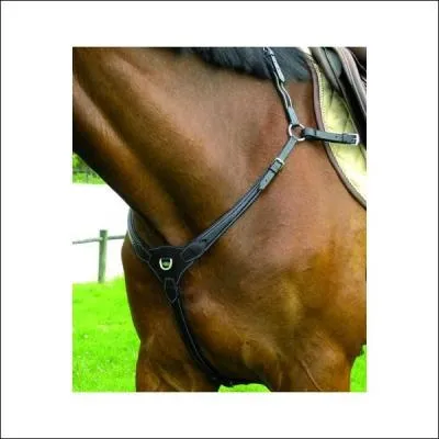 Le collier de chasse sert à :