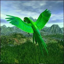 Le vert est la couleur de...