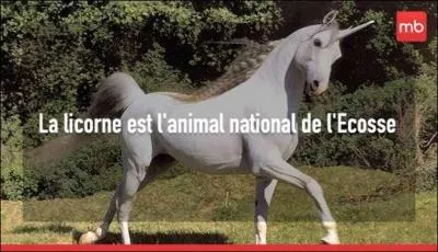 Si vous échouez, hou la corne !