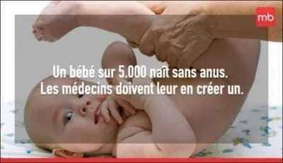 Alors, cette affirmation est-elle sans fondement ?