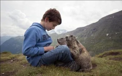 J'ai bien envie d'intituler cette photo : Le petit garçon qui murmurait à l'oreille des chiens de prairie, qu'en pensez-vous ?