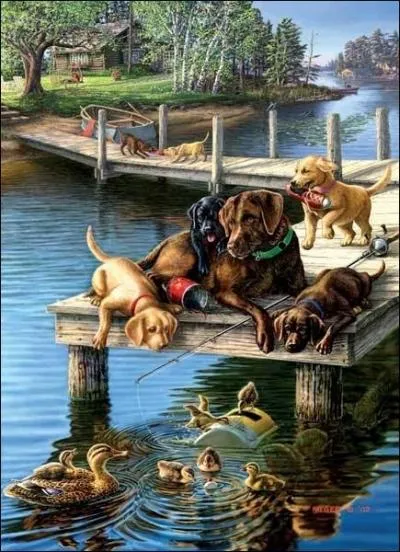 Quel est ce gros chien ?