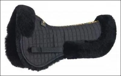 L'amortisseur sert :