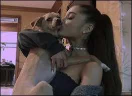 Comment s'appelle son chien (blond) ?