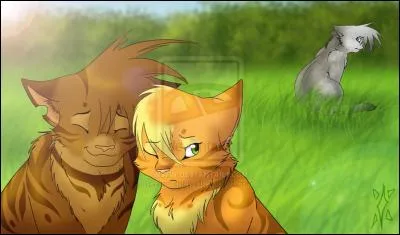 Comment se nomme le personnage de droite (le gris) ?