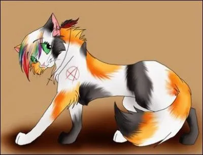 Qui est amoureux de ce chat ?