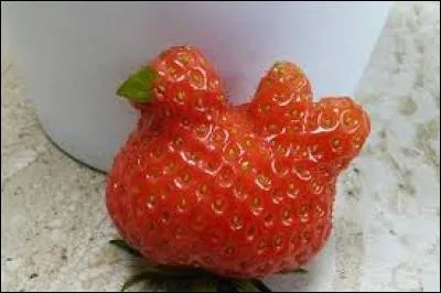 A votre avis, quelle est la phrase favorite de cette fraise ?