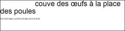 Pour finir, une petite une animali&egrave;re vue dans Direct Matin :