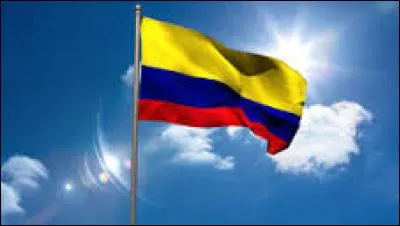 Parmi ces drapeaux, lequel possède la couleur jaune ?