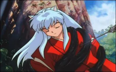 Qui a libéré Inuyasha du sort de Kikyo ?