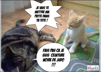 Quel judoka a remporté le championnat du monde de judo pour la huitième fois ?