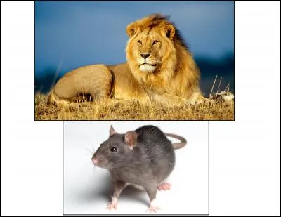 La morale de cette fable est :