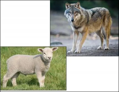 La morale de cette fable est :