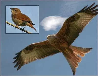 La morale de cette fable est :