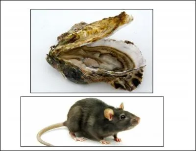 La morale de cette fable est :