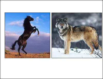 La morale de cette fable est :