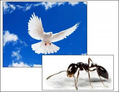 La morale de cette fable est :