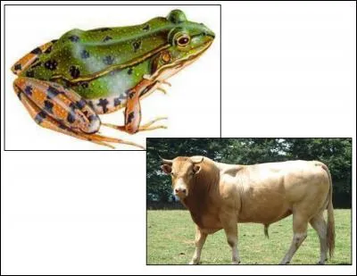 La morale de cette fable est :