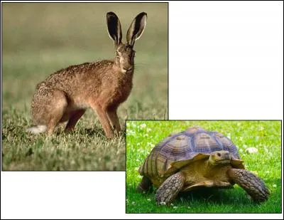 La morale de cette fable est :