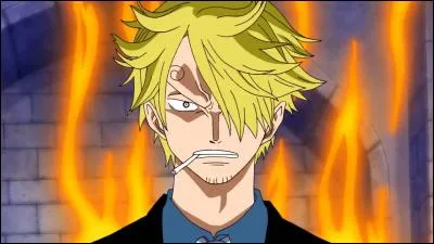 Quel est le membre de l'équipage de Luffy avec qui Sanji se chamaille le plus ?