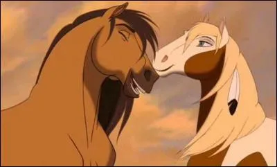 À qui appartient la jument ?