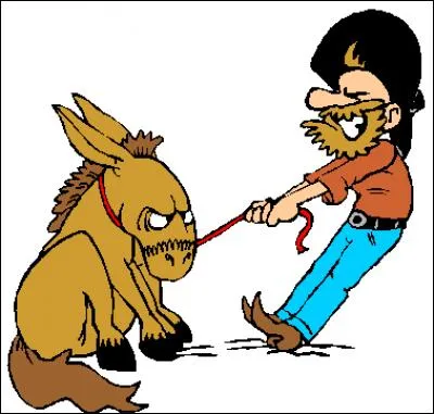 Je ne sais pas si le prochain adjectif est une qualité ou un défaut. 
On me dit que je suis têtue comme une mule ! 
Comment dit-on "têtu" en anglais ?