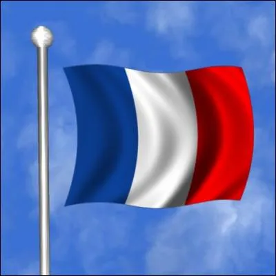 Il apparaît lors de la Révolution française. Le blanc signifie la couleur du roi, le rouge et le bleu signifient Paris. Ce symbole s'est très mal imposé lors du XIXe siècle.
Qui est-il ?