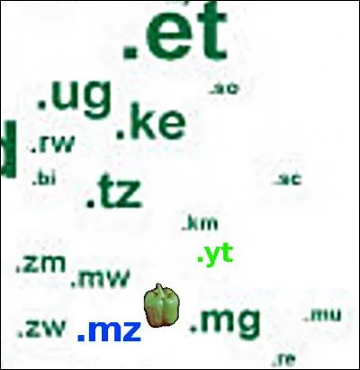 Au nord, on voit ".et" (Éthiopie) mais que désigne le ".mz" complètement au sud ?
