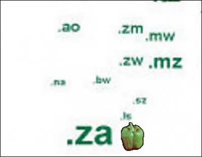 Toujours en Afrique, qu'est-ce que c'est que ".za" ?