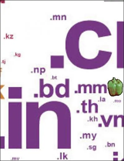 Toujours flanqué du fidèle poivron vert, quelle est cette nation ".mm" ?