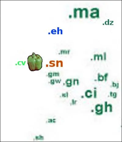 Vous pouvez reconnaître les contours de l'ouest de l'Afrique. Que trouve-t-on au large, symbolisé par son ".cv" ?