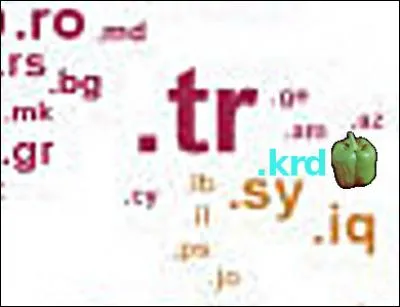 Même s'il n'est pas encore exploité, le ".krd" pourrait recouvrir un jour une réalité territoriale, laquelle ?