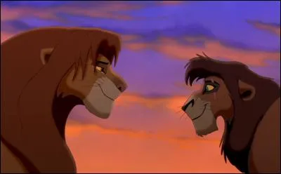 Qui est Kovu ?