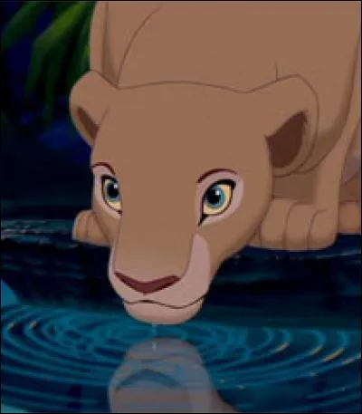 Qui est Nala ?