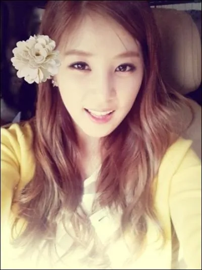 Quel est le leader des Apink ?