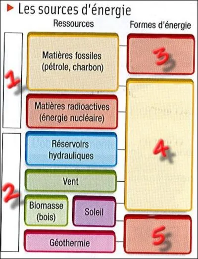 Le n°5 correspond à :