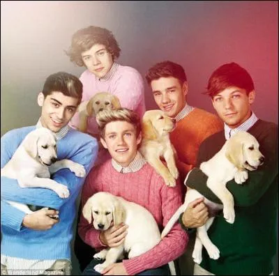 Quelle est la phrase culte du groupe ?